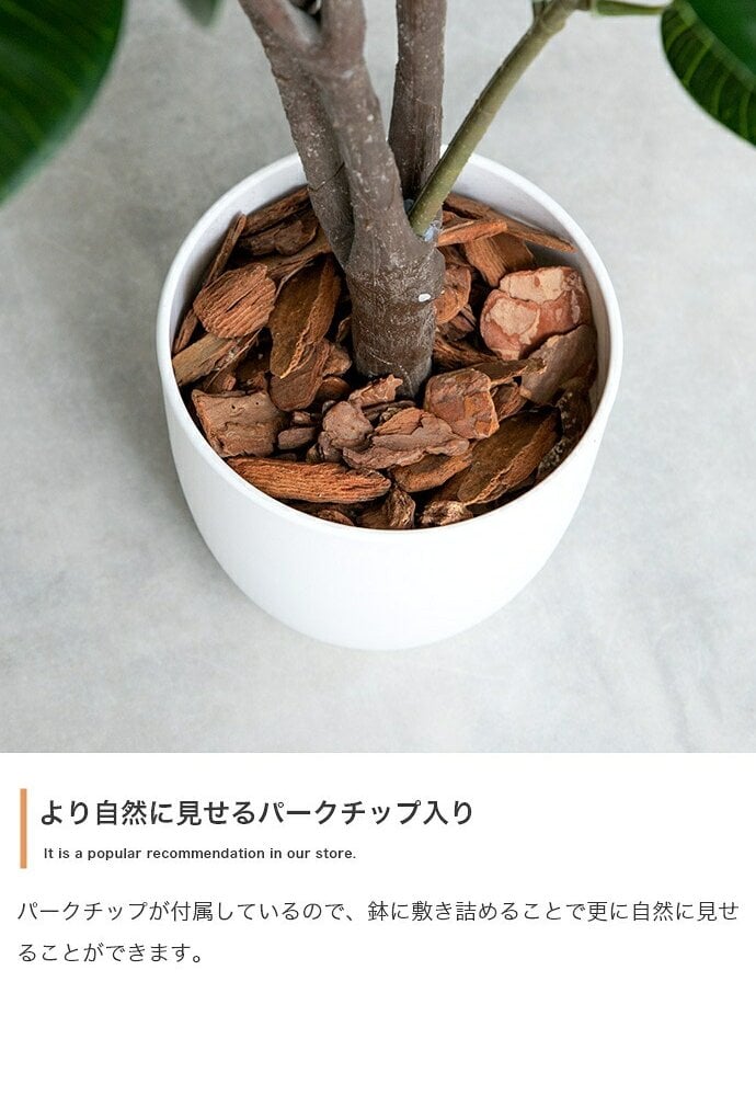 照明 ライト パキラ 観葉植物 人工 フェイクグリーン 室内 リビング オフィス 一人暮らし 緑 インテリア 光触媒 空気清浄 消臭 抗菌 防汚 ホルムアルデヒド分解 おしゃれ 高さ150cm 造花 植木 鉢植え 新築祝い 開店
