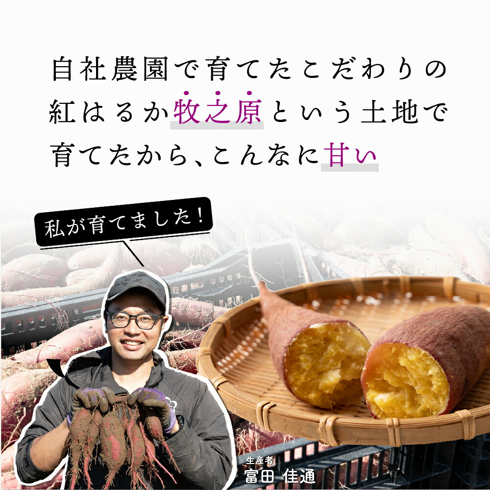 静岡県産 さつまいも 紅はるか 【内容量が選べる1kg~10kg】雑穀米本舗  送料無料 スイーツ 生芋 生 サツマイモ べにはるか 甘い 美味しい 産地直送 ギフト プレゼント