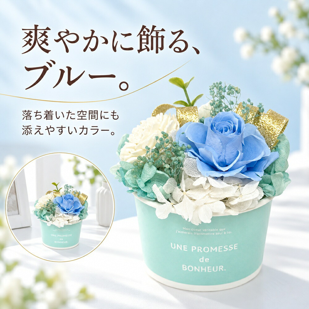 プリザーブドフラワー ギフトアレンジメントソルベ / プリザーブドフラワー バラ 花 ギフト 誕生日 母の日 敬老の日 結婚祝い 送別 新築祝い おしゃれ ケース付き / 色鮮やかなローズと上品なリボンが彩る そのまま飾れる華やかなフラワーギフト