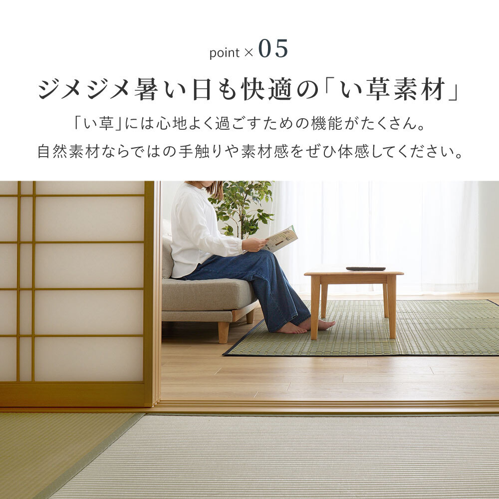 い草カーペット 清澄 せいちょう 江戸間 1畳 2畳 3畳 4.5畳 6畳 8畳 い草ラグ 天然い草100％ 掛川織 市松模様 和モダン 花ござ 上敷き 畳保護 四方縁 抗カビ 消臭 ブルー 夏用 涼感 和室 洋室 折りたたみ 調湿 さらさら 和風