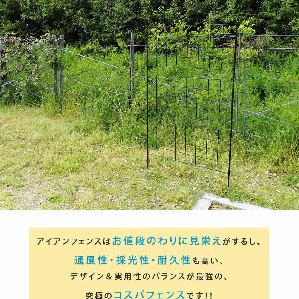 ガーデン エクステリア アイアンフェンス 高さ176 「グラフ」 1枚 送料無料 フェンス アイアン ガーデニング 枠 柵 仕切り 目隠し 境目 クラシカル アンティーク 格子 ベランダ つる 薔薇 バラ 朝顔 園芸 ラティス つるバラ 庭誘引 屋外