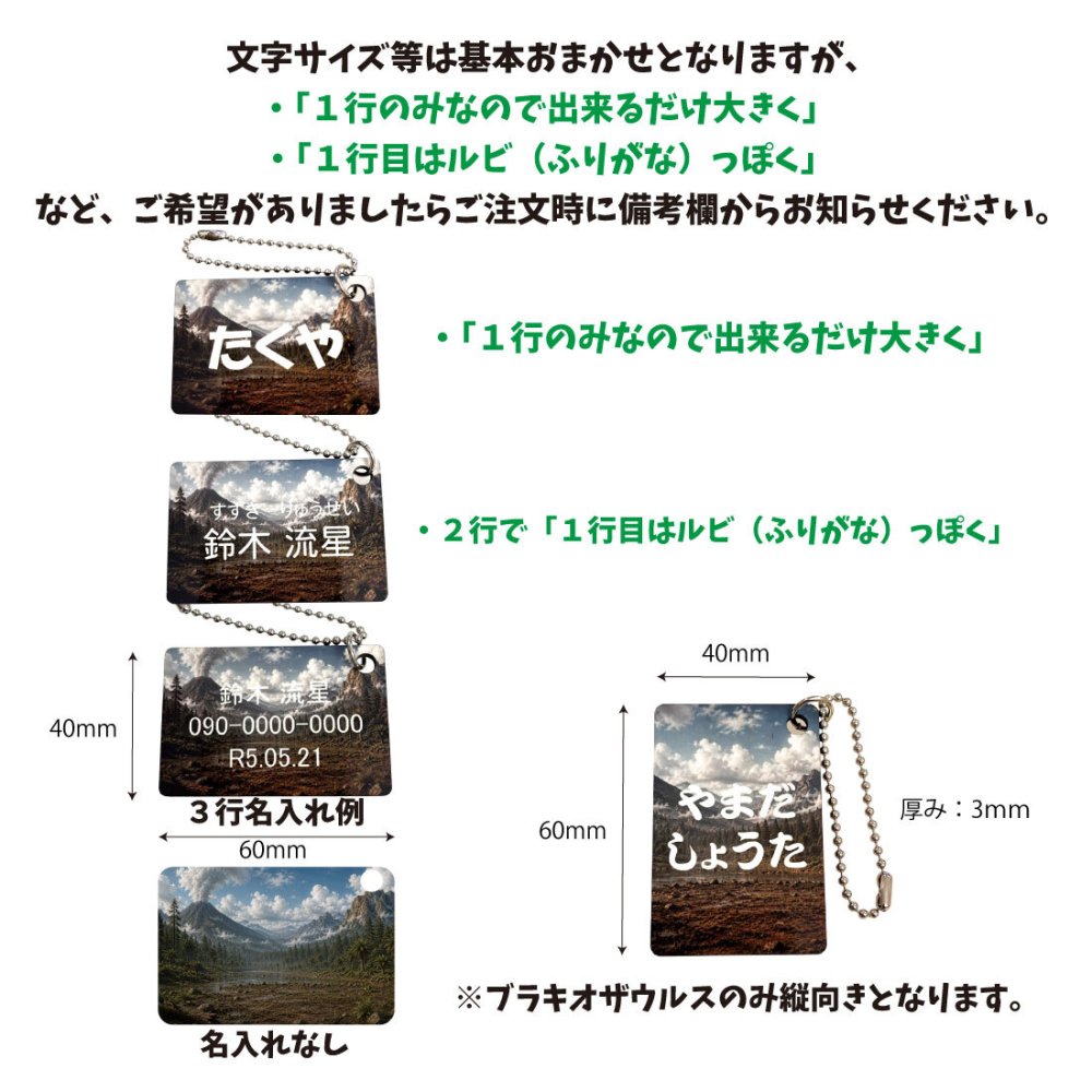 名入れ 恐竜【リアル】チャーム キーホルダー かっこいい 子供向け 5パターン