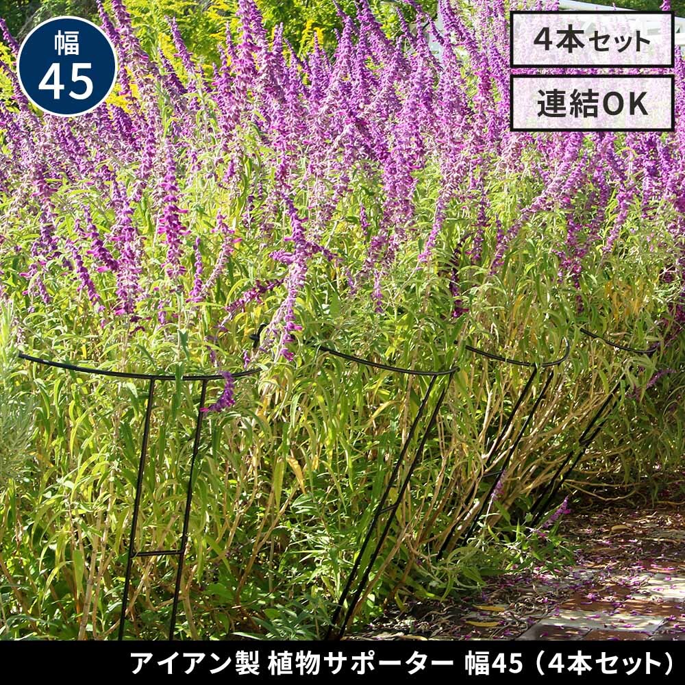 アイアン製植物サポーター 幅45 4本セット IF-N0047-4P奥行23 高さ85 ハーフリング 倒れ防止 広がり抑制 スチール 鉄製 支柱 園芸 植物サポート フラワーサポート 菜園 花壇