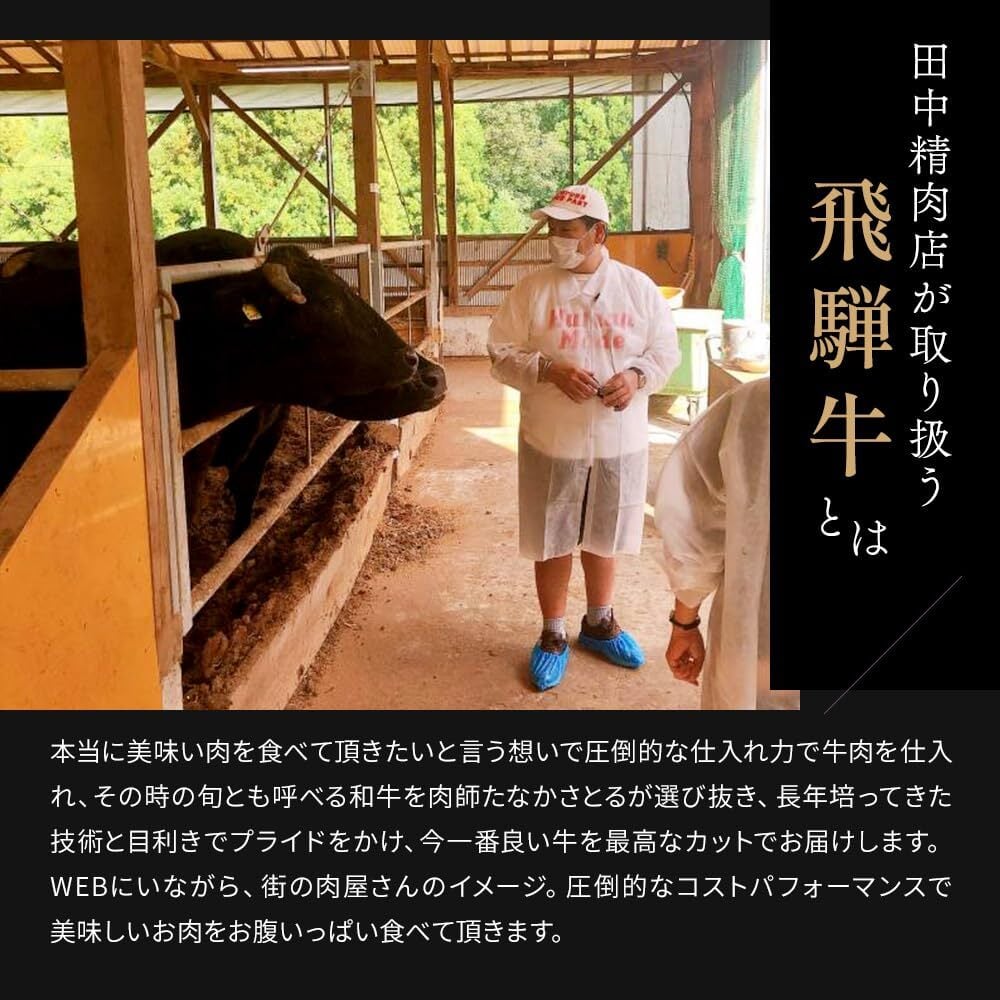 御中元 肉 ギフト【飛騨牛 カタログギフト 15000円】お肉 ギフト カタログ しゃぶ しゃぶしゃぶ すき焼き ステーキ肉 国産 高級 和牛 焼肉 ギフトボックス 牛肉 食べ物 グルメ 誕生日 プレゼント 飛騨牛ステーキ 黒毛和牛 ギフト券 内祝い