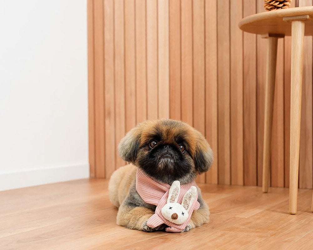 DADWAYPET ダッドウェイペット FAD ファッド ノーティードッグ・トイ マフラー ラビット 犬用おもちゃ