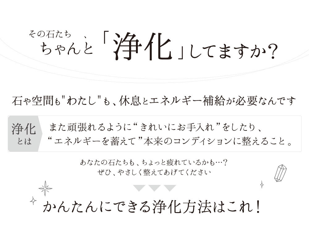 パワーストーン 簡単 浄化セット 入れ 置き皿 浄化皿 パールシェル 選べる6種のさざれ イケチョウ貝 器 浄化 グッズ 2点セット ブレスレット ピアス ネックレス の浄化用 天然水晶 空間浄化セット 玄関用 部屋用 置物 厄払い 女性 男性 厄年 プレゼント