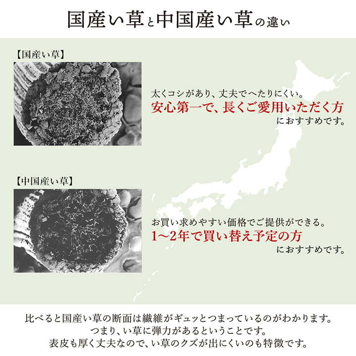 敷物 花ござ 国産 純国産 日本製 い草 掛川織 モダン 抗菌防臭 自然素材 江戸間3畳 約174×261cm