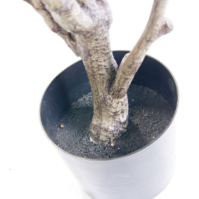 観葉植物 造花 フィカス エラスティカ BROWN 全高約195cm 大型 株立ち フェイクグリーン 高級 本物そっくり リアル おしゃれ インテリア 人工観葉植物 アーティフィシャルグリーン オフィス 店舗 ホテル 開店祝い 室内 リビング 玄関 風水 ゴムの木 インドゴムノキ