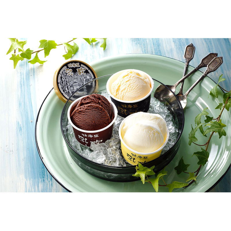 乳蔵 北海道アイスクリーム3種9個 (110132) [お中元][お歳暮] ※送料無料(北海道・沖縄・離島への配送不可)