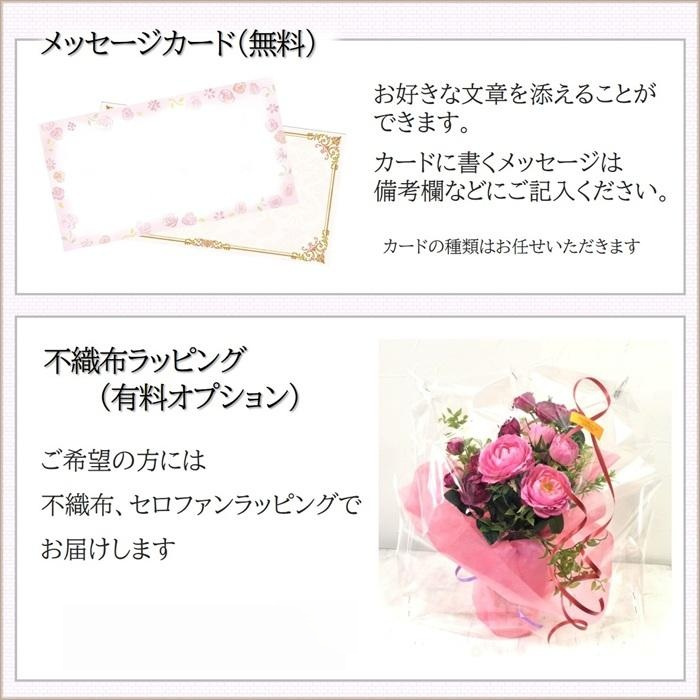 【送料無料】森林の香りたっぷり 生花もみの木リース ４５cm クリスマスリース 生 もみの木 完成品 【ボリュームたっぷり】