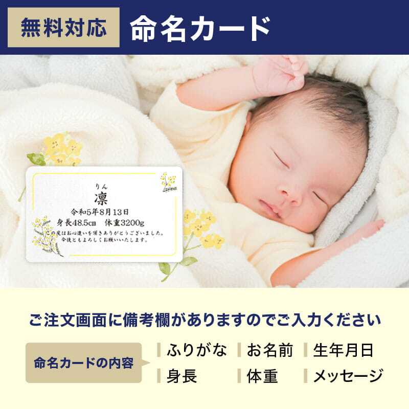 【送料無料】 柔らかおつまみ12選 古伊万里浪漫 創業120余年の海鮮珍味メーカーがお届けする逸品【熨斗/ギフト包装】 誕生日 お歳暮 退職祝い 内祝い 海鮮 珍味 高級 おつまみセット 常温保存OK お酒に合う 酒の肴 詰め合わせ お返し 冬ギフト クリスマス お年賀 祖父 祖母 父 母 父親 母親 男性 グルメ いわし いか