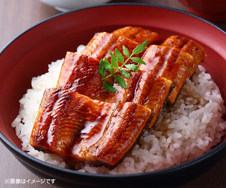 【送料無料・高級＆時短ギフト】まぐろ漬け&かつお漬け 計8食分セット（8人前 詰め合わせ 海鮮丼 マグロ カツオ ご飯のお供 づけ丼 海鮮セット お歳暮 お年賀 敬老の日 お中元 プレゼント 贈り物 母の日 父の日 御祝 内祝い ご褒美 誕生日 お祝い  出産内祝い お返し 結婚 男 女 友達 彼氏 彼女 義母 義父 新築 引越 送別会 定年 退職祝い 還暦 タイパ）[[まぐろカツオ漬けセット]