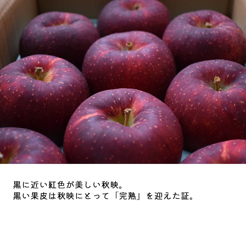 【予約】長野県産りんご 秋映 訳あり ご自宅用 果物 フルーツ お取り寄せ 産地直送 【送料無料(一部地域除く)】
