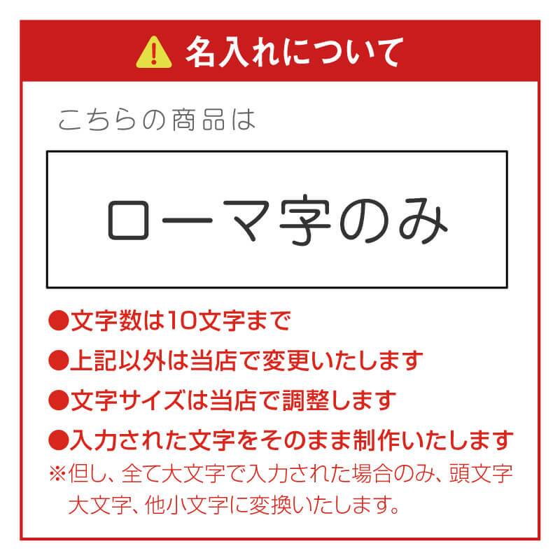 【名入れ】 テディベア ぬいぐるみ 花 ソープフラワー くま名入れ 名前 ギフト かわいい クマ 枯れない 花束 クリスマス プレゼント フラワーギフト サンタ 記念日 女性 彼女 妻 女友達 娘 孫 サプライズ 贈り物 《 テディベア フアッフィー クリスマス 》 翌営業日出荷