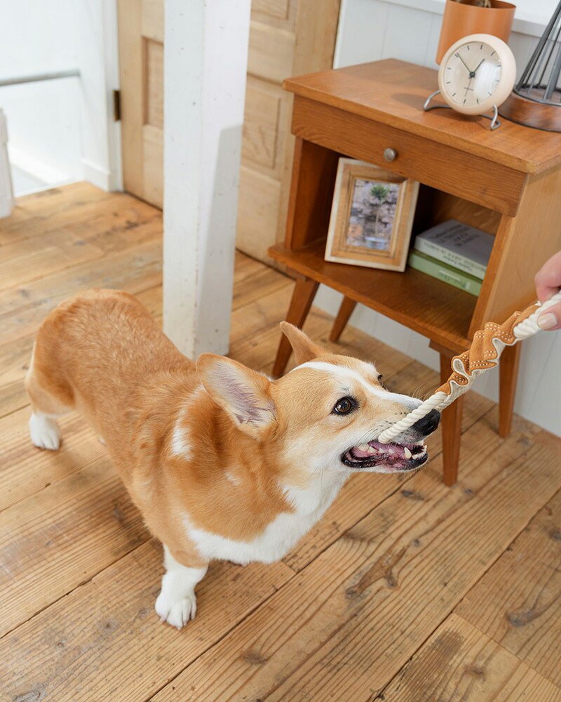 DADWAYPET ダッドウェイペット FAD ファッド レザー＆コットン・トイ ストレッチリング 犬用おもちゃ