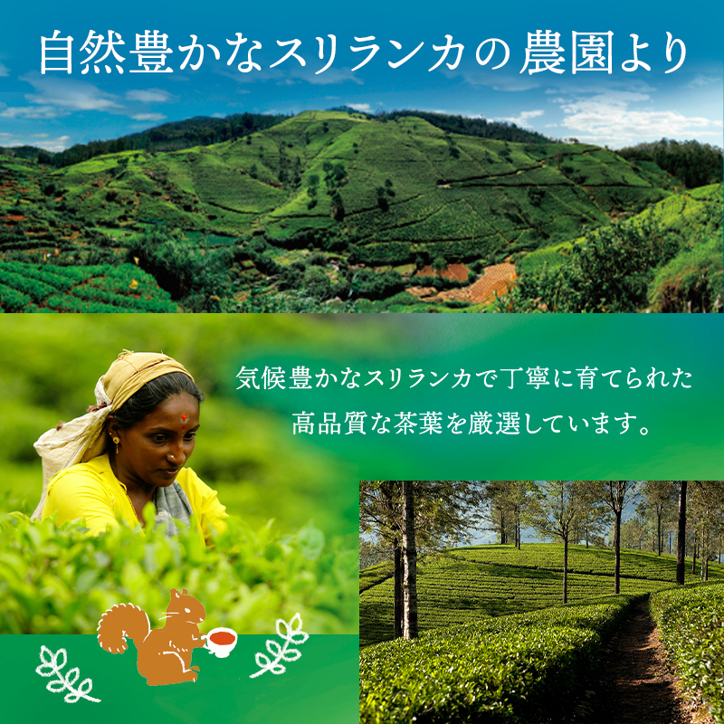 カフェインレス紅茶（100g）スリランカ産セイロンティー100％ 無香料 カフェイン98％以上カット フルリーフ デカフェ