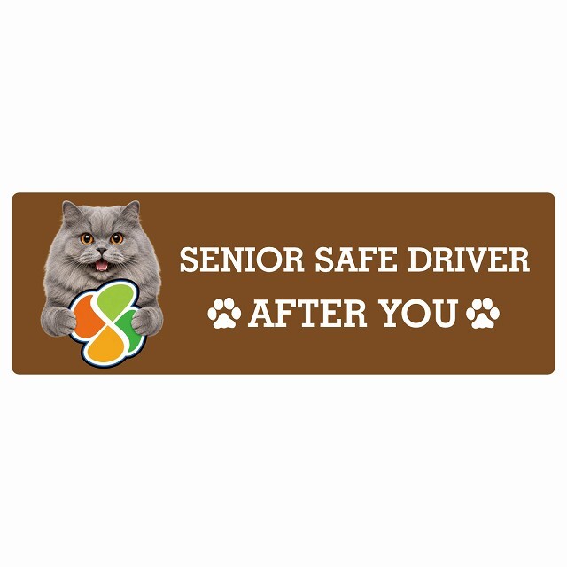 カーサイン 高齢者マーク SENIOR SAFE DRIVER ブリティッシュロングヘア ステッカー シール 長方形 20x6.7cm 肉球 日本製 車