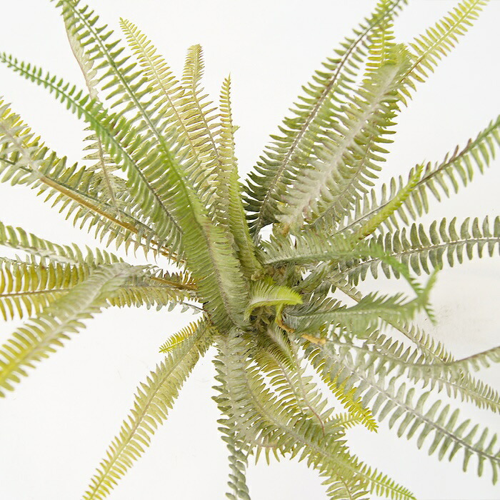観葉植物 造花 ボストンファーン シルバー BROWN 全高約77cm 卓上・小型 フェイクグリーン 本物そっくり おしゃれ インテリア 人工観葉植物 アーティフィシャルグリーン オフィス 店舗 ホテル 開店祝い 室内 ミニ シダ タマシダ フェイク