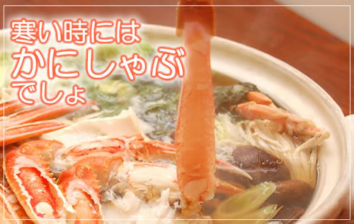 生ズワイガニ ポーション 1kg (3L〜2Lサイズ) [特大 むき身][送料無料]  かにしゃぶ 刺身用 殻剥き済み カニ鍋 ずわいがに 冷凍 魚屋直送 お歳暮 御祝 ※北海道、東北、沖縄は送料別途加算