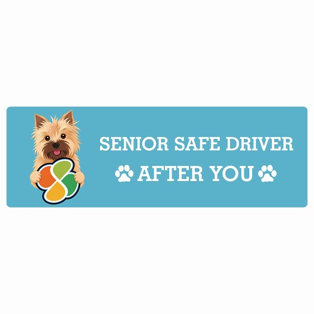 カーサイン 高齢者マーク SENIOR SAFE DRIVER ノーリッチテリア ステッカー シール 長方形 15x5cm 肉球 日本製 車
