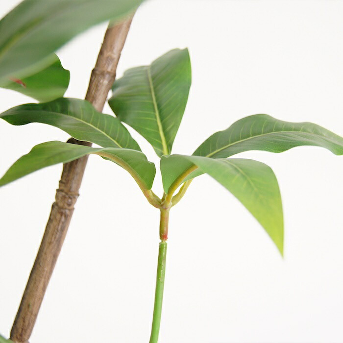 観葉植物 造花 ツピタンサス BROWN 全高約210cm 大型 3本立ち フェイクグリーン 高級 本物そっくり リアル おしゃれ インテリア 人工観葉植物 アーティフィシャルグリーン オフィス 店舗 ホテル 開店祝い 室内 リビング 玄関 風水 ツピダンサス