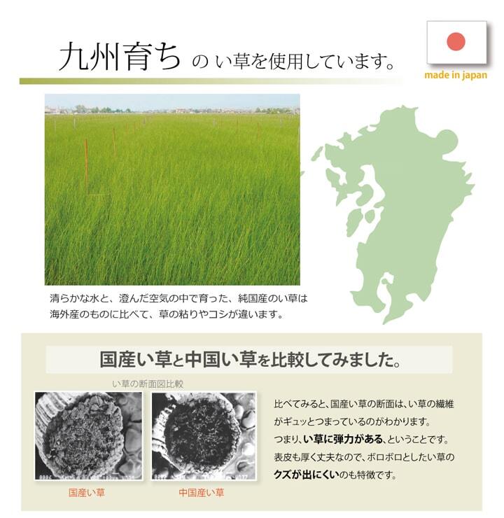 ラグ カーペット 純国産 い草玄関マット 『Fランクス』 約60×90cm（裏:ウレタン）