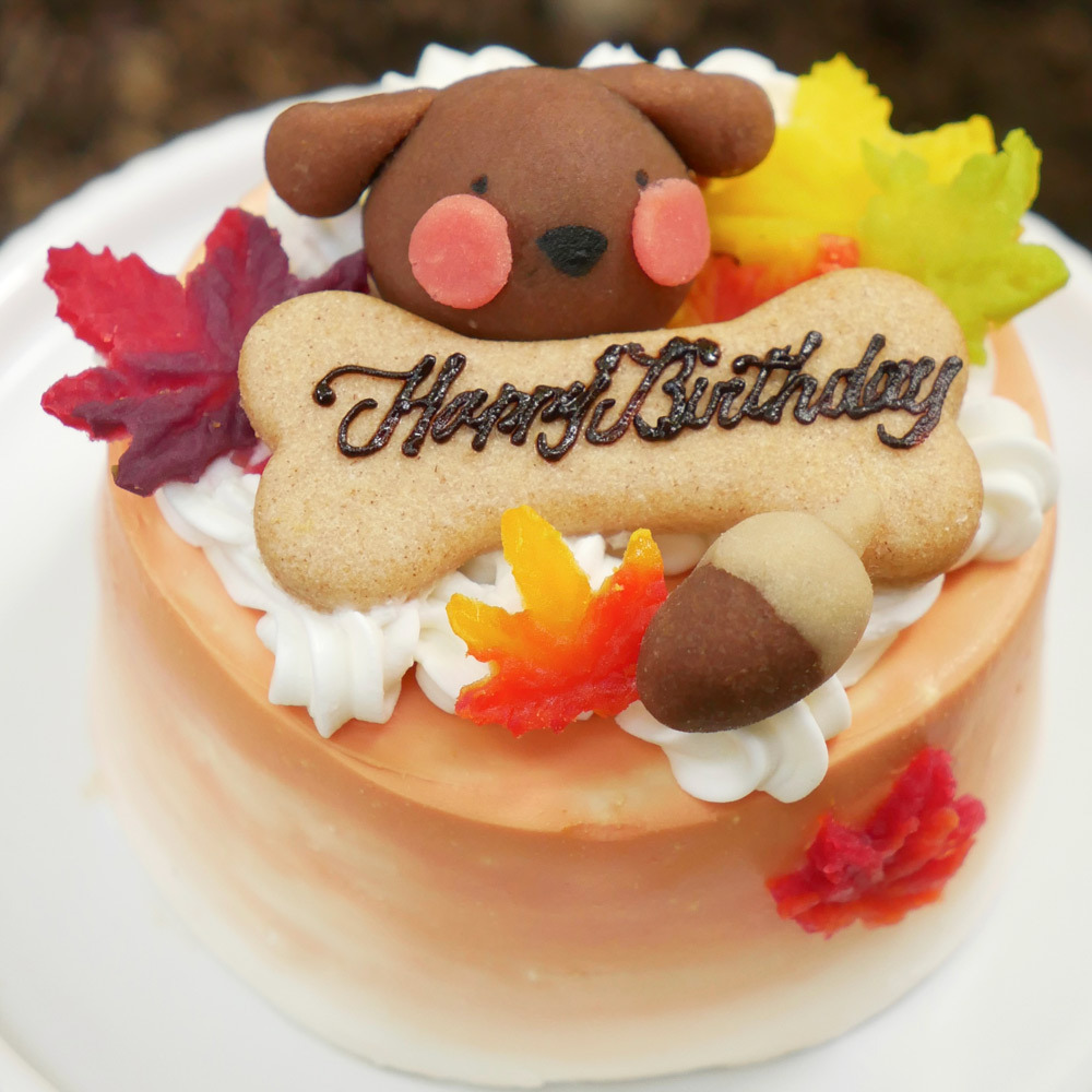 犬用ケーキ 誕生日 ちぃさい秋みぃ～つけた紅葉いちごショートケーキ プチサイズ 無添加 食いつき 人気 おすすめ 手づくりごはん 小型犬 犬 小さいサイズ バースデー ケーキ フードケーキ ごはん プレゼント ギフト 贈り物 お誕生日 お迎え記念日 快気祝い ご贈答用 結婚祝い パーティー お茶会 犬友 猫友 お祝い お誕生日 ワンちゃん ペットフード ドッグフード