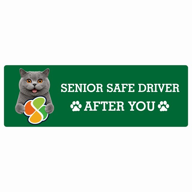 カーサイン 高齢者マーク SENIOR SAFE DRIVER ブリティッシュショートヘア ステッカー シール 長方形 15x5cm 肉球 日本製 車