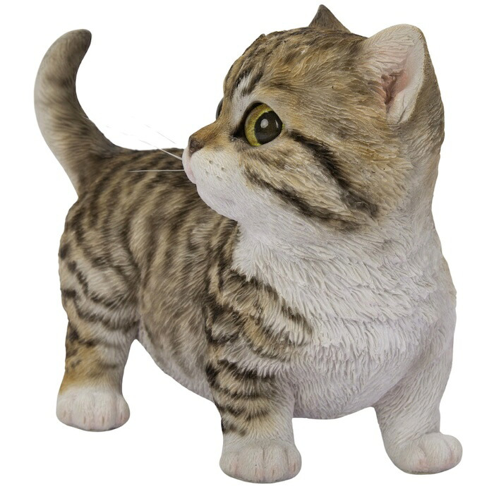 置物 猫 右向きマンチカン 茶黒 幅14cm woobia ウービア リアル かわいい おしゃれ 玄関 インテリア オブジェ ガーデン マンチカン キジトラ ねこ ネコ 動物 アニマル 癒し 棚 北欧 リビング プレゼント ギフト 新築祝い 猫好き