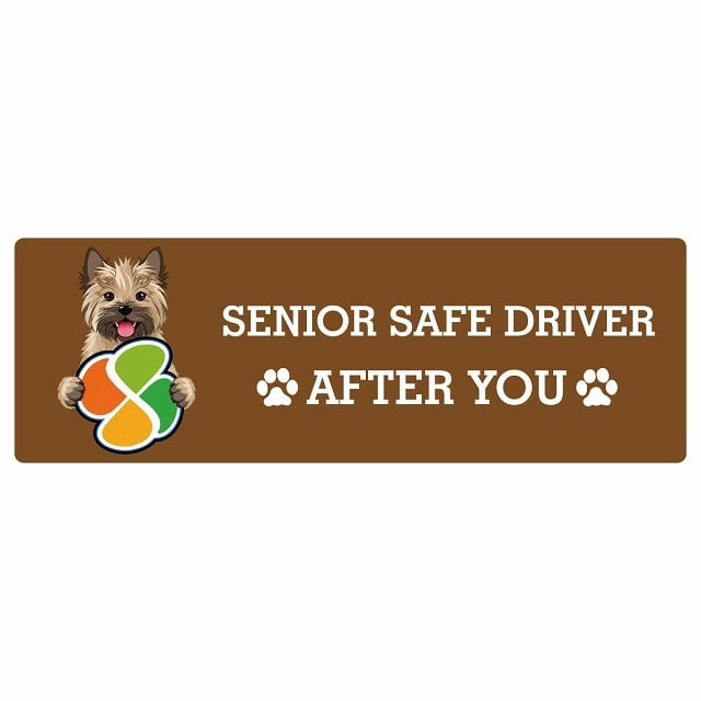 カーサイン 高齢者マーク SENIOR SAFE DRIVER ケアーンテリア ステッカー シール 長方形 15x5cm 肉球 日本製 車