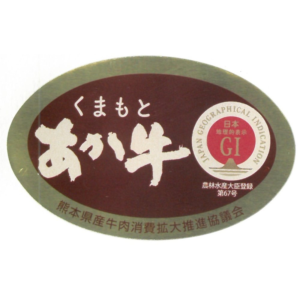 熊本 くまもとあか牛 生ハンバーグ 2個入計2パック ハンバーグ 冷凍 和牛 国産 希少 和牛ハンバーグ【北海道・沖縄県・離島 配送不可】