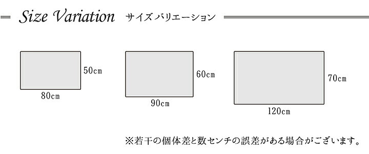 ラグ カーペット 玄関 マット トルコ ウィルトン 織り 約50×80cm 抗菌防臭 消臭 へたりにくい ギャベ