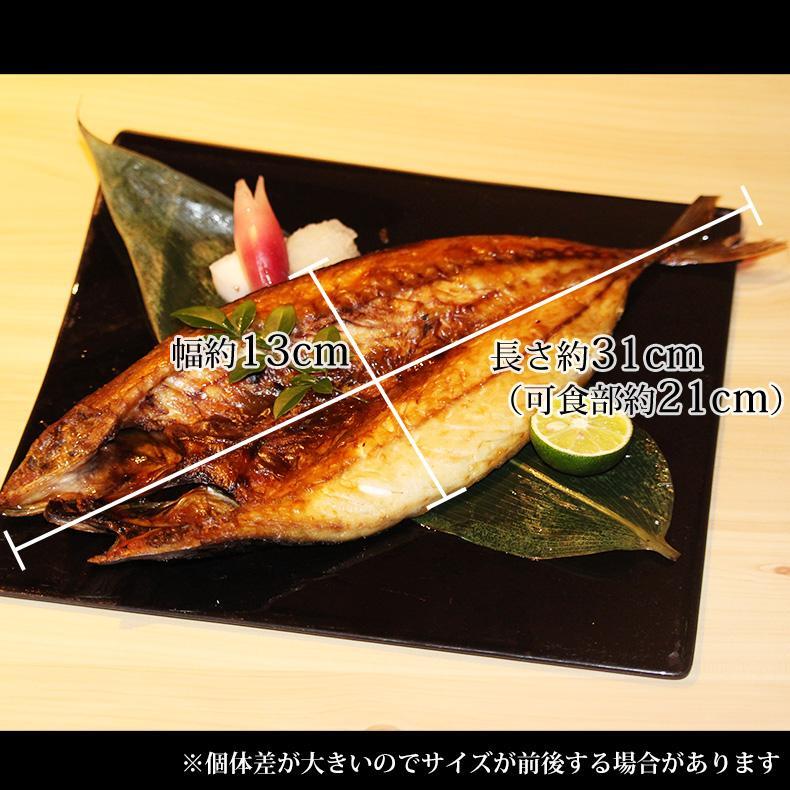 特大 笹の葉 干物セット 3種 詰め合わせ 合計1kg以上 無添加 【干物/ひもの/冷凍/ほっけ/ホッケ/さば/サバ/鯖/赤魚/敬老の日/ギフト/2026/プレゼント/おつまみ/贈り物/贈答/海鮮】