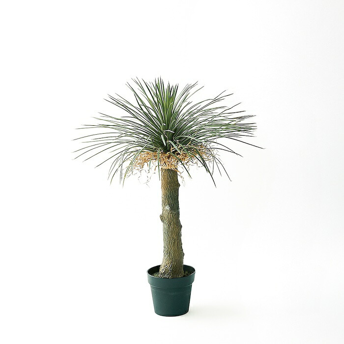 観葉植物 造花 ユッカ ロストラータ BROWN 全高約94cm 中型 フェイクグリーン 本物そっくり おしゃれ インテリア 人工観葉植物 アーティフィシャルグリーン オフィス 店舗 ホテル 開店祝い 室内 ブルー フェイク