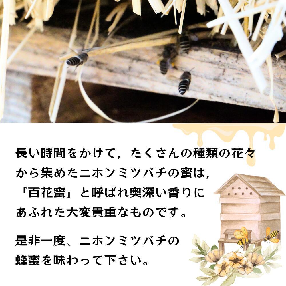 送料無料【数量限定！】 日本ミツバチ はちみつ 宮城県産 非加熱 生はちみつ 百花蜂蜜 百花蜜 希少 ニホンミツバチ にほんみつばち 国産