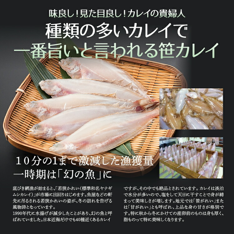 若狭カレイ 一塩干し ミニサイズ 3尾 3セット 6セット カレイ 一夜干し 保存料不使用 干物 天神講 天神様