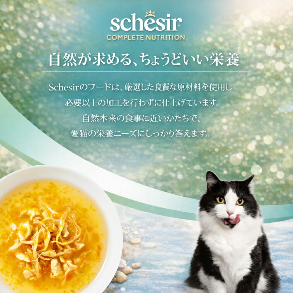 Schesir シシア スープ チキンwithキャロットandパンプキン キャットフード 40g×12個