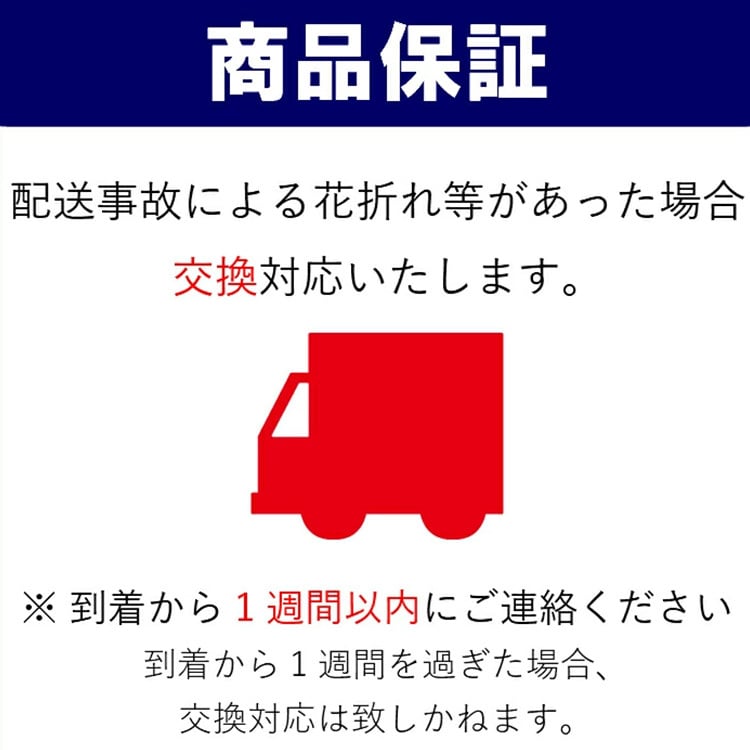 大輪 胡蝶蘭 3本立 白 18輪～33輪 選べる輪数 お祝い 開店祝い 開業祝い 就任祝い 法人