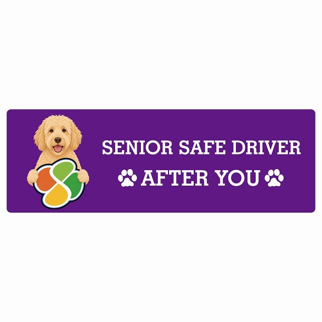 カーサイン 高齢者マーク SENIOR SAFE DRIVER ラブラドゥードル ステッカー シール 長方形 20x6.7cm 肉球 日本製 車