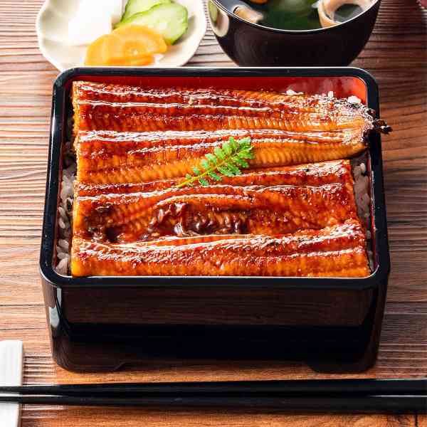 鹿児島県産 うなぎ蒲焼 特大 200g 1尾 国産 鰻 ウナギ 蒲焼き 冷凍 ギフト お取り寄せ グルメ 土用丑の日 贅沢 贈答用 敬老の日 父の日 母の日 お祝い 内祝い