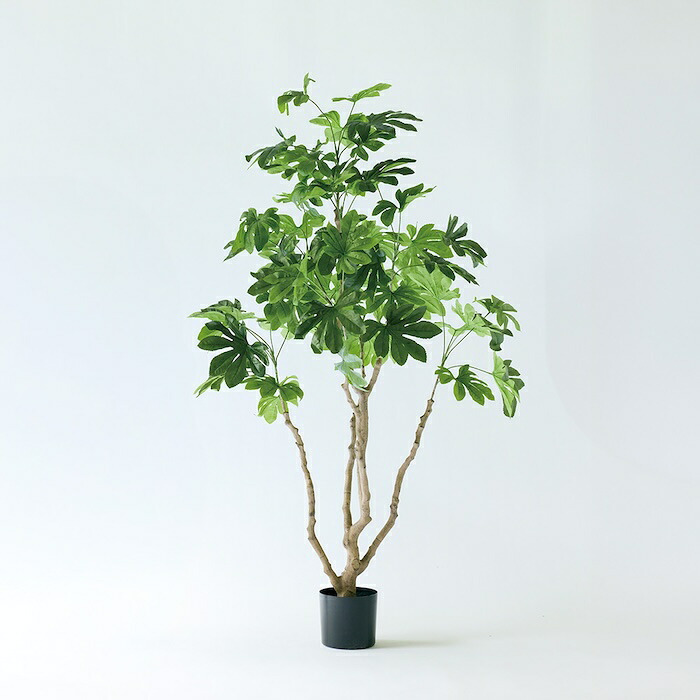 観葉植物 造花 ヤツデ BROWN 全高約190cm 大型 フェイクグリーン 高級 本物そっくり リアル おしゃれ 和風 和モダン インテリア 人工観葉植物 アーティフィシャルグリーン オフィス 店舗 ホテル 旅館 開店祝い 室内 リビング 玄関 庭木 八つ手