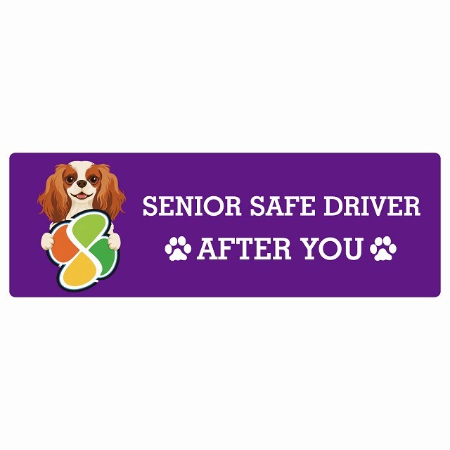カーサイン 高齢者マーク SENIOR SAFE DRIVER キャバリアキングチャールズスパニエル ステッカー シール 長方形 15x5cm 肉球 日本製 車