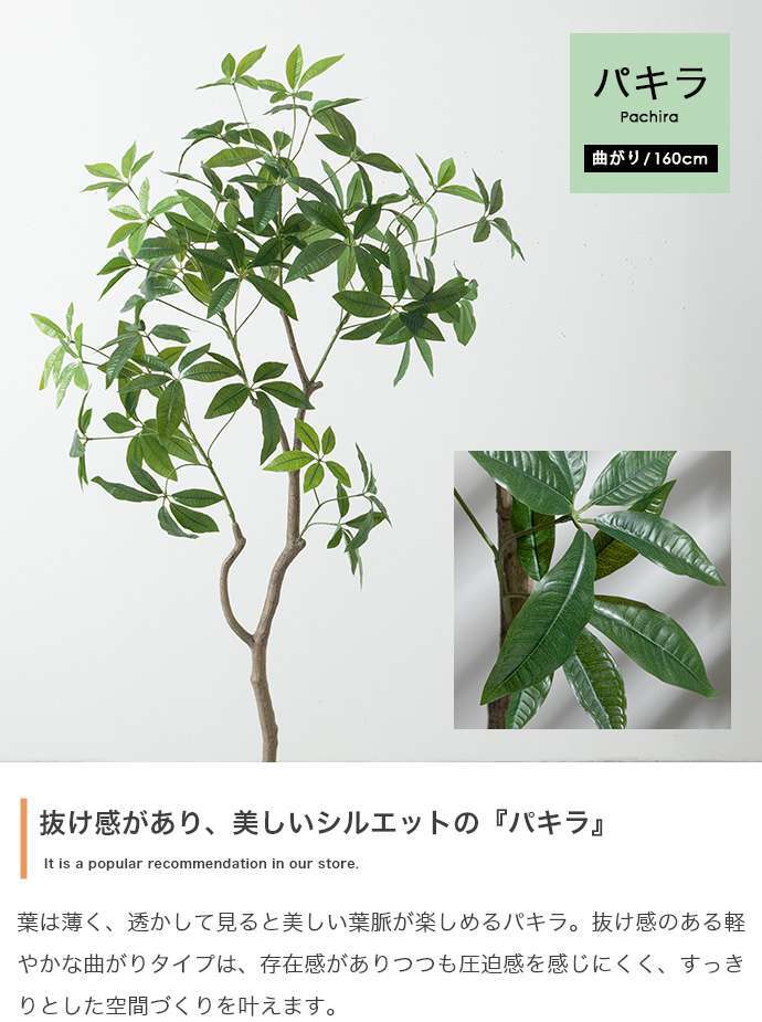 【高さ160cm】光触媒人工観葉植物 パキラ 曲がり 幅72cm×奥行50cm×高さ160cm オフィス 天然木 組立品 お部屋に気軽に飾れて空間を美しく彩るフェイクグリーン 本物の植物のようなリアルな質感とインテリアに馴染む風合いが魅力です