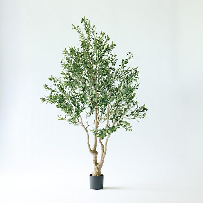 観葉植物 造花 オリーブ BROWN 全高約230cm 大型 古木風 フェイクグリーン 高級 本物そっくり リアル おしゃれ インテリア 人工観葉植物 アーティフィシャルグリーン シンボルツリー オフィス 店舗 ホテル カフェ 開店祝い 室内 リビング 玄関 風水 オリーブの木