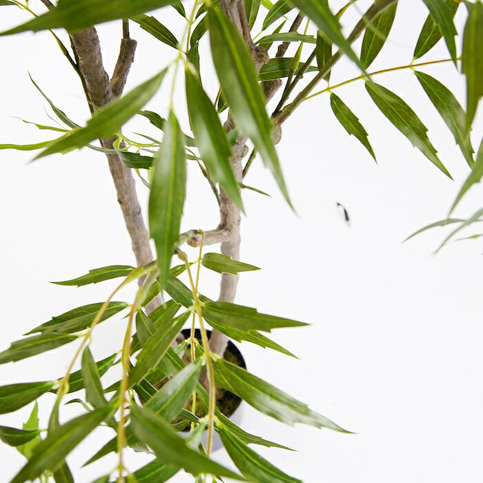 観葉植物 造花 マホニア コンフューサ BROWN 全高約180cm 大型 フェイクグリーン 高級 本物そっくり リアル おしゃれ 和風 和モダン インテリア 人工観葉植物 アーティフィシャルグリーン オフィス 店舗 ホテル 旅館 開店祝い 室内 リビング 玄関 庭木 細葉ヒイラギナンテン
