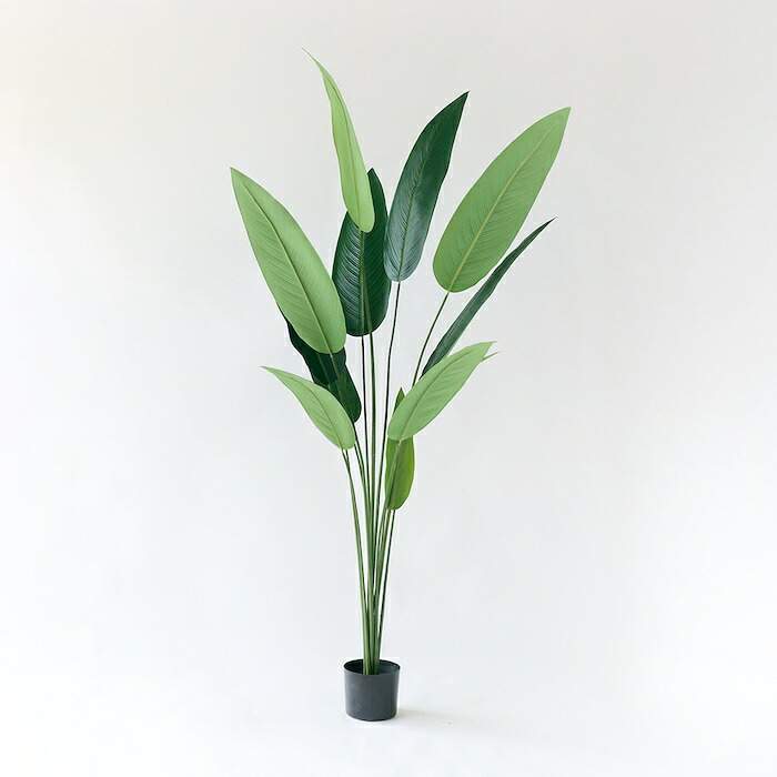 観葉植物 造花 カンナ BROWN 全高約195cm 大型 フェイクグリーン 高級 本物そっくり リアル おしゃれ インテリア 人工観葉植物 アーティフィシャルグリーン 南国 リゾート オフィス 店舗 ホテル 開店祝い 室内 リビング 玄関 風水 フェイク