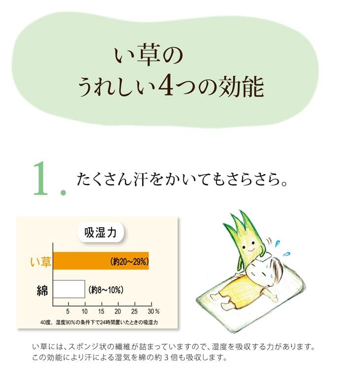枕 まくら い草枕 消臭 ピロー 国産 無地 ベビー キッズ 『さわやか 平枕』 約30×20cm お子様にも安心 国産い草枕 さわやか平枕 抗菌 防臭 ポリエステル 綿 枕寝具 寝具用品 寝室用 寝室用品 インテリア 綿100% 肌触り 柔らか 吸湿