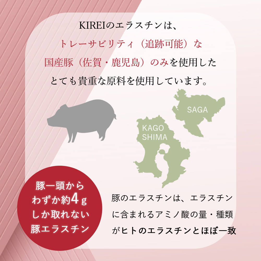 【パッケージリニューアル 2026年4月】季令（KIREI） エラスチンカプセル 100粒 高純度エラスチン 100％天然由来 コラーゲン エラスチン ヒアルロン酸 エイジングケア スキンケア キレイ 無着色 合成保存料・香料不使用 ACTLAND