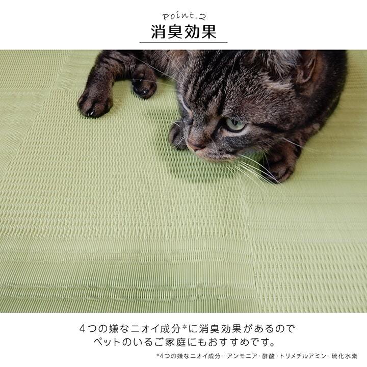 ラグ カーペット 洗える 日本製 国産 抗菌 防臭 消臭 アウトドア レジャー 敷物 和室 シンプル 江戸間8畳(約348×352cm)