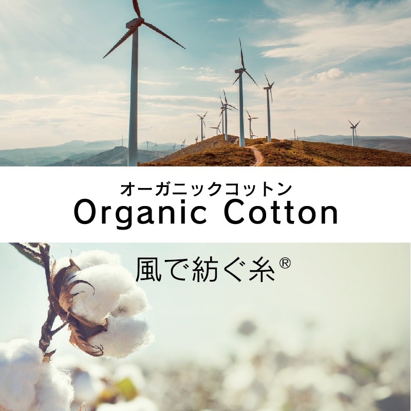 綿毛布 シングル ハーフ 日本製 西川 泉大津 毛布 ブランケット オーガニックコットン コットンケット 風で紡ぐ糸 サステナブル ピーナッツ PEANUTS スヌーピー SNOOPY 大人かわいい マイヤー キャラクター FQ05101602